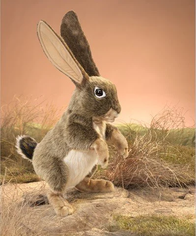 Jack Rabbit Puppet — WHISTLESTOP BOOKSHOP